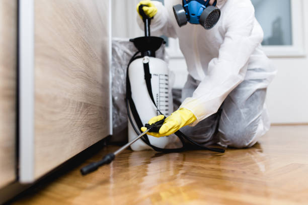 Best Commercial Pest Control Services  in Smithville, TN