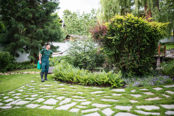 Best Ant Control Services  in Smithville, TN