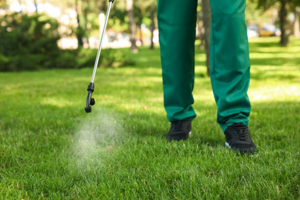 Best Pest Prevention Services  in Smithville, TN
