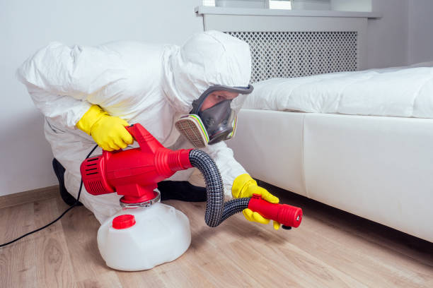 Best Pest Control Treatment  in Smithville, TN
