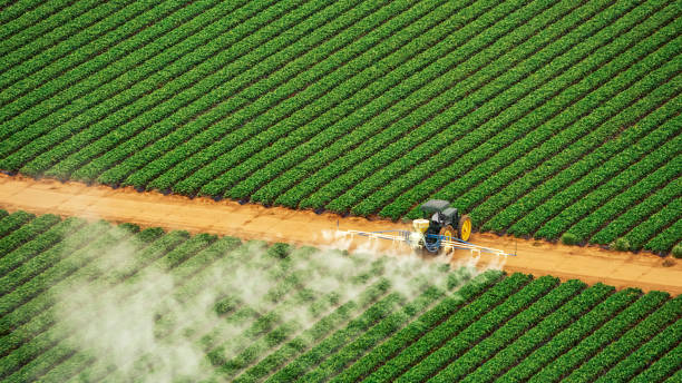 Best Best Pest Control Companies  in Smithville, TN