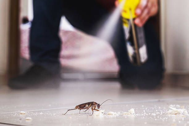 Best Exterminator Services  in Smithville, TN