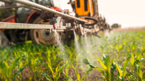 Professional Pest Control in Smithville, TN